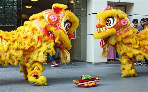 What Does Lion Dance Symbolize: A Dance of Myths and Modernity